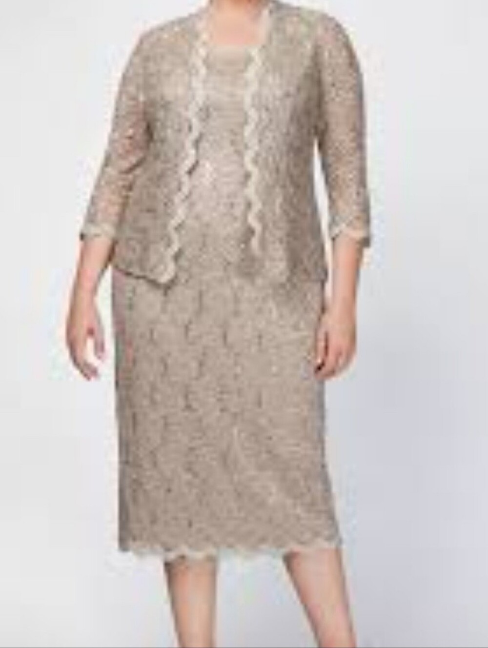 Alex Evenings Formal Dress Size 14p Women's Dress